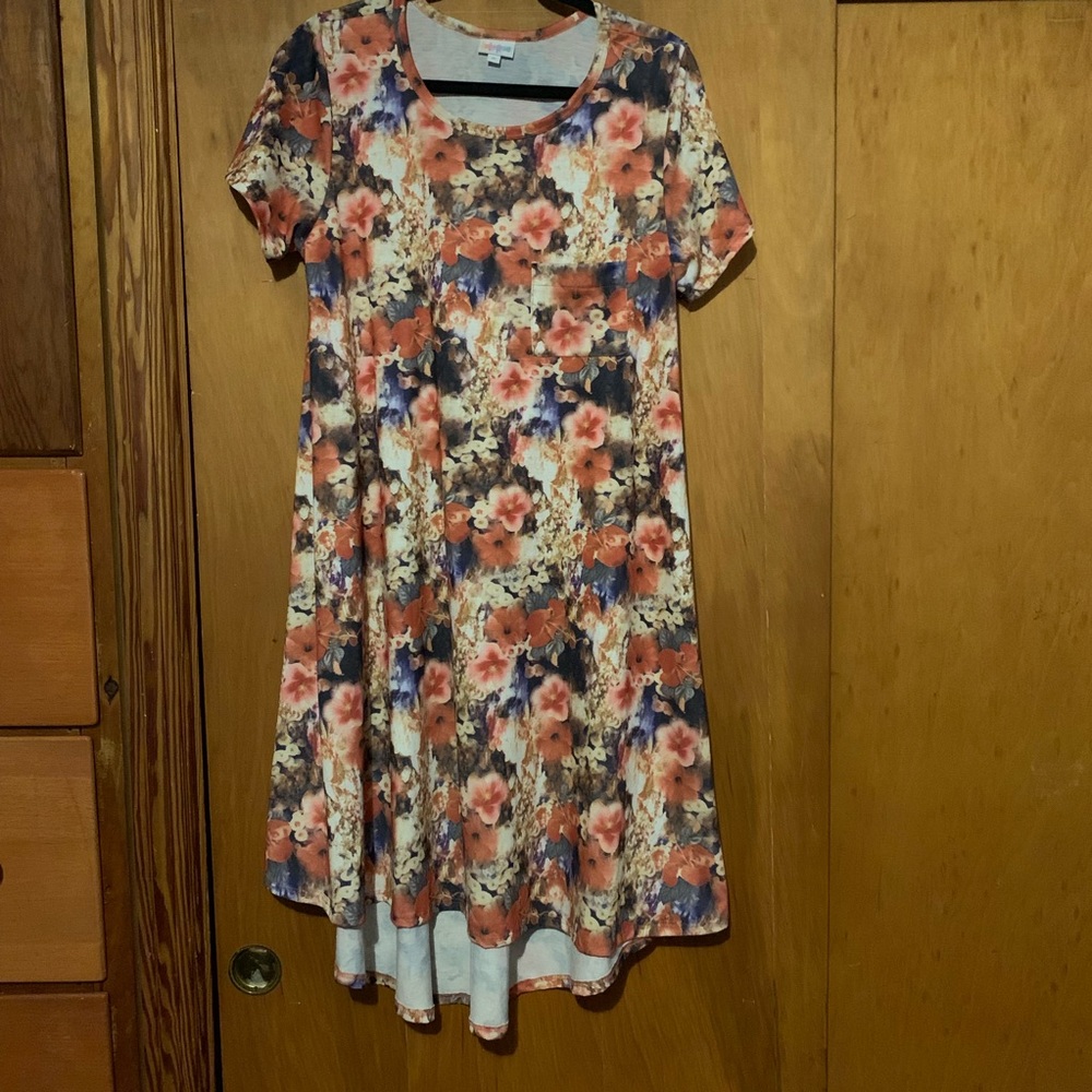 Carly dress
